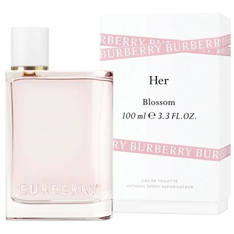 burberry element chemist warehouse|Burberry her blossom Chemist Warehouse.